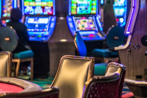 tribuntogel apk Bingo