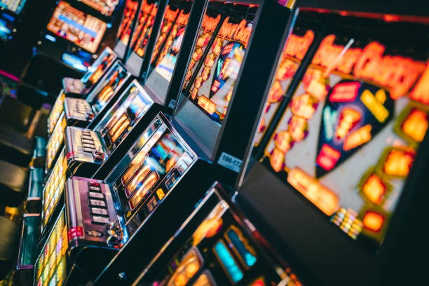 tribuntogel apk editorial visual